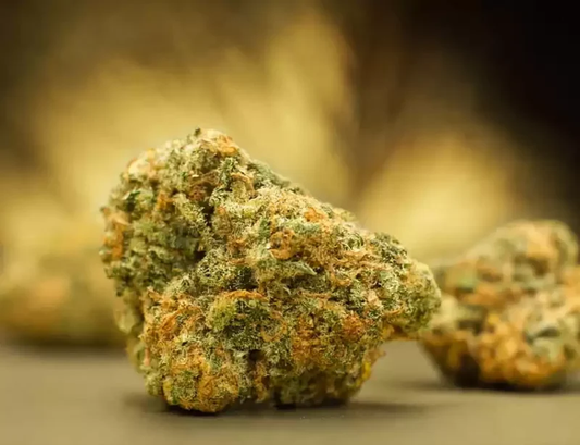 Colômbia Gold