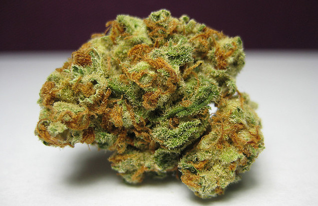 Colômbia Gold